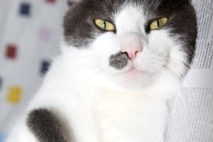 pascha IMG_4490we pascha IMG_4490we