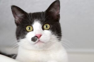 pascha IMG_9254we pascha IMG_9254we