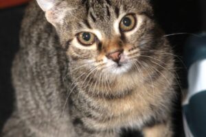 relu IMG_0923we relu IMG_0923we