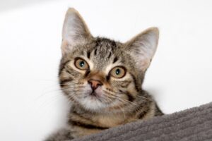 relu IMG_0926we relu IMG_0926we