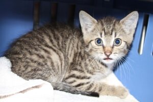 relu IMG_3110we relu IMG_3110we