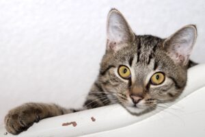 relu IMG_4269we relu IMG_4269we