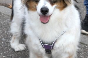 sila IMG_5093we sila IMG_5093we