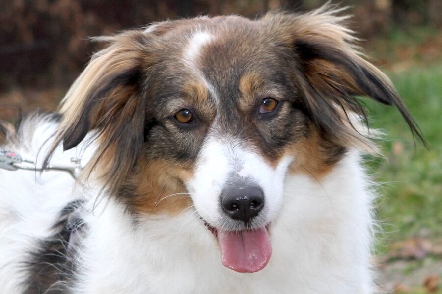 sila IMG_5103we sila IMG_5103we