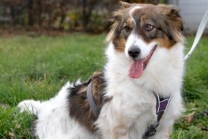 sila IMG_5115we sila IMG_5115we