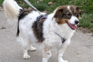 sila IMG_5118we sila IMG_5118we