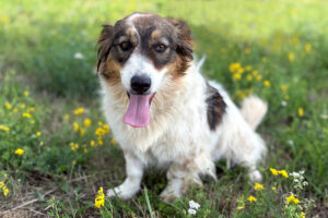 sila IMG_5395 sila IMG_5395