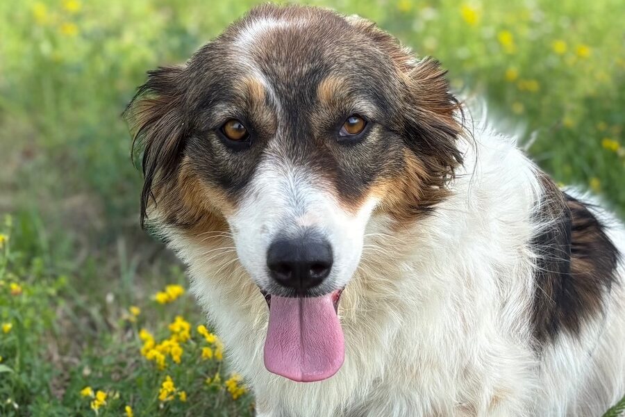 sila IMG_5398 sila IMG_5398