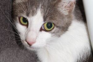 urania IMG_4205we