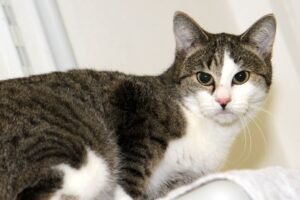 LEONA IMG_3310WE LEONA IMG_3310WE