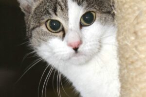 LEONA IMG_3312WE LEONA IMG_3312WE