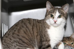 LEONA IMG_3315WE LEONA IMG_3315WE