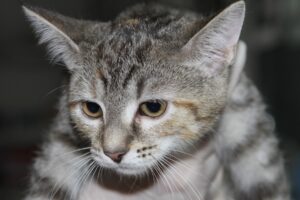 One get roter Fleck IMG_9608we One get roter Fleck IMG_9608we