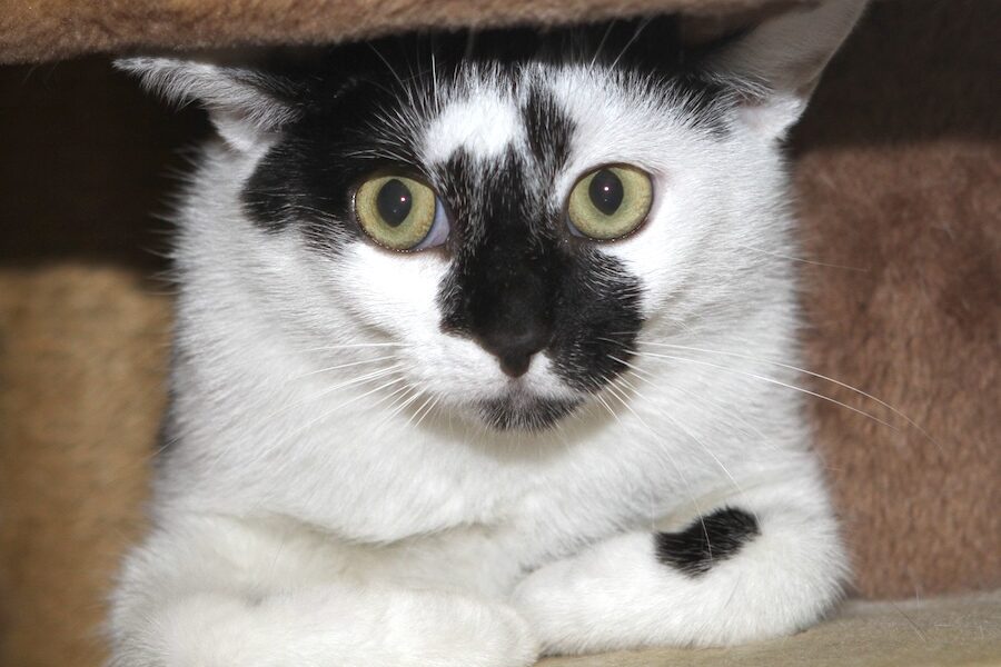 bacardi IMG_9810we bacardi IMG_9810we