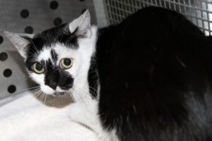 baccardi IMG_4629we baccardi IMG_4629we