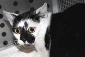 baccardi IMG_4632we baccardi IMG_4632we