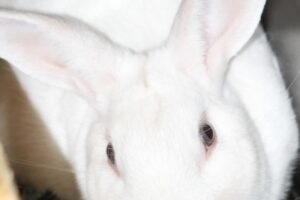 benny IMG_9918we benny IMG_9918we