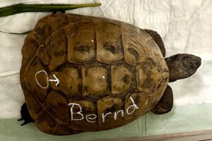 bernd IMG_2124 bernd IMG_2124