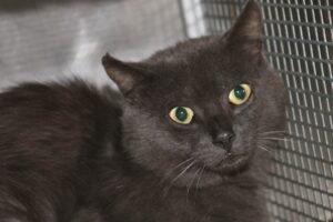 cosmo IMG_4644we