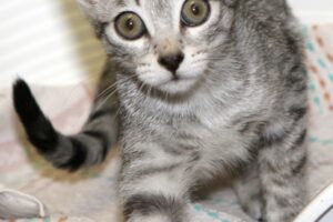 elara IMG_0307we