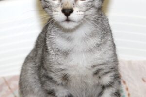 elara IMG_0315we