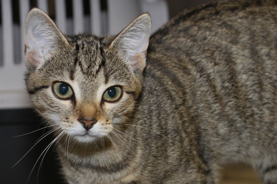 everly IMG_0056we everly IMG_0056we