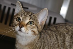 everly IMG_0058we everly IMG_0058we