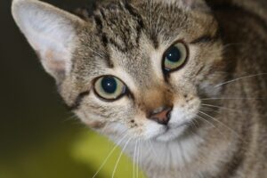 everly IMG_0174we everly IMG_0174we