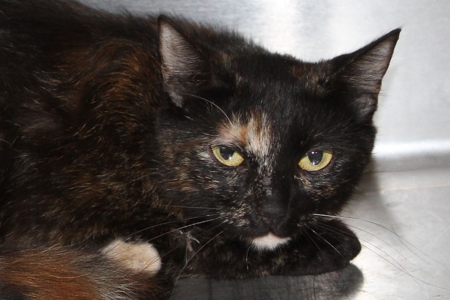 fancy IMG_4907we fancy IMG_4907we