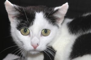 hera IMG_1575we hera IMG_1575we