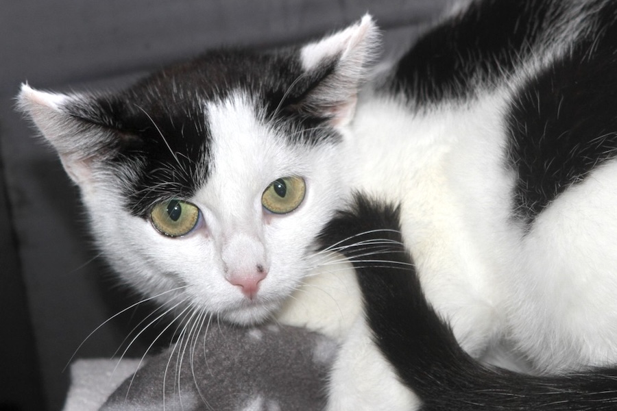 hera IMG_1578we hera IMG_1578we