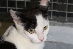 hera IMG_4810we hera IMG_4810we