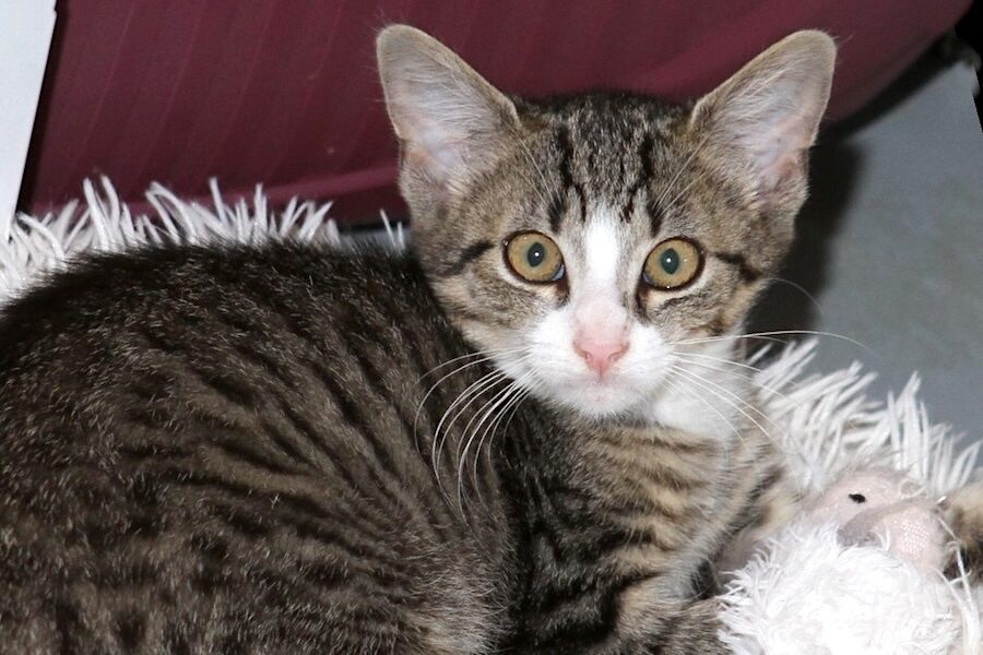 hilda IMG_4909we hilda IMG_4909we