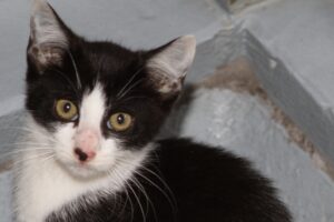 hilda getweiss Hera mama Hillary sw IMG_4801we hilda getweiss Hera mama Hillary sw IMG_4801we