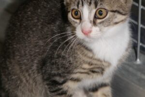 hilda getweiss Hera mama Hillary sw IMG_4805we hilda getweiss Hera mama Hillary sw IMG_4805we