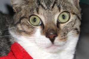 hurricane IMG_0609we hurricane IMG_0609we