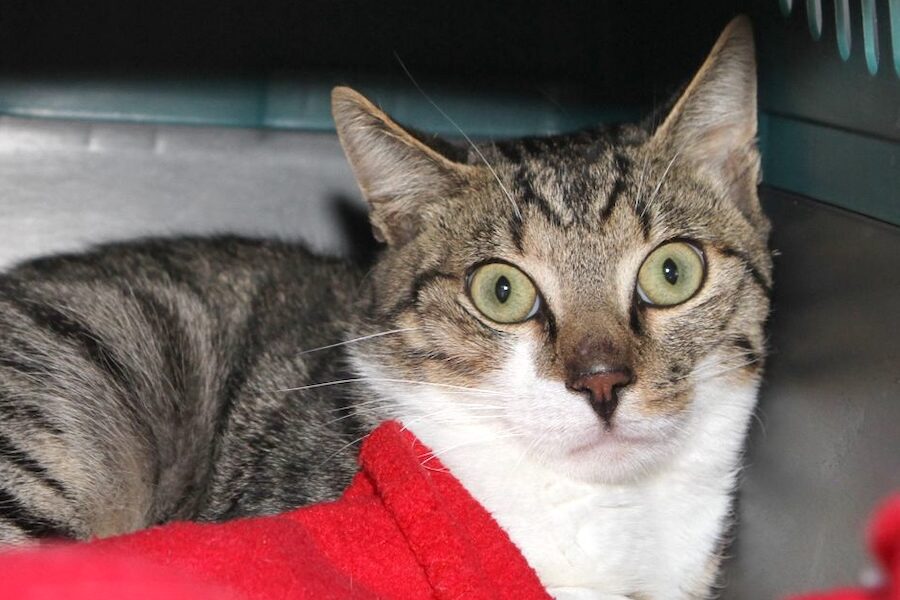 hurricane vIMG_0610we hurricane vIMG_0610we