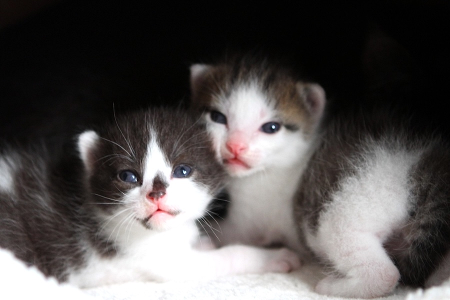 jannick natalie IMG_4531