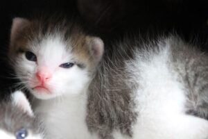 jannick natalie IMG_4535