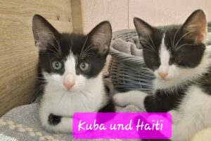 kuba haiti 01
