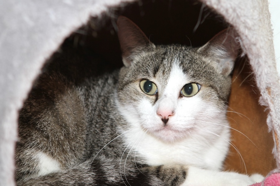 leona IMG_4026we leona IMG_4026we