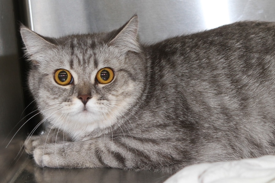 lina IMG_4835we lina IMG_4835we