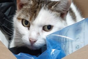 mathilda IMG-20221001-WA0007