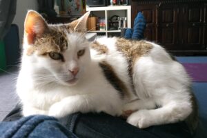 mathilda IMG_20200321_141356