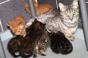 nalu mit kindern IMG_0179we nalu mit kindern IMG_0179we