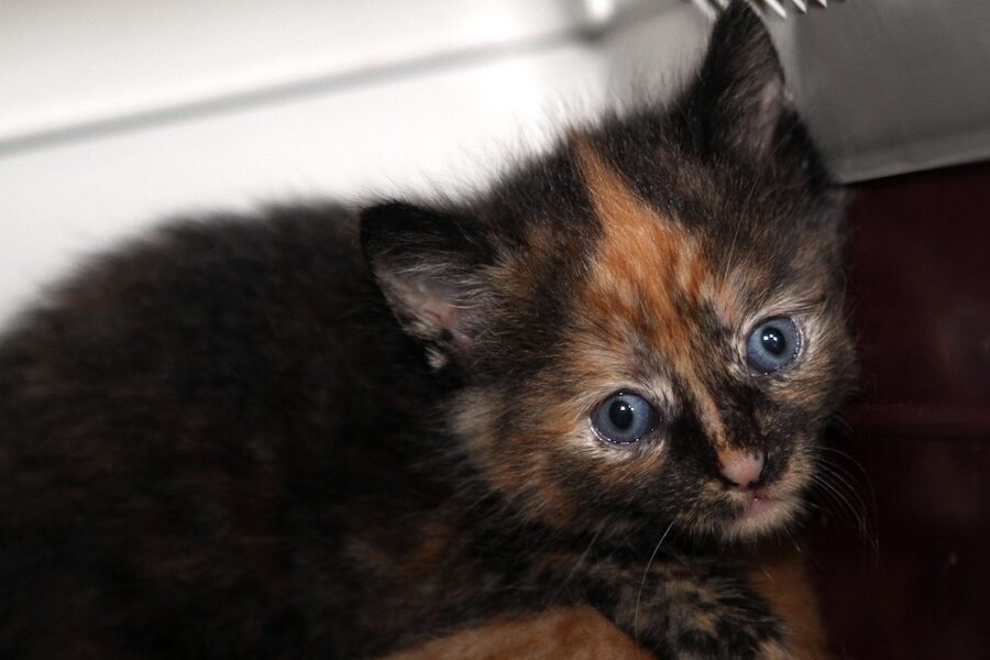 nuri IMG_0213we nuri IMG_0213we