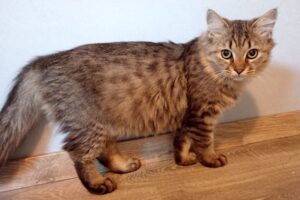 one oriley oxbow IMG_001 one oriley oxbow IMG_001