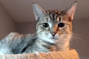 one oriley oxbow IMG_0011 one oriley oxbow IMG_0011