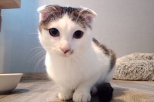 one oriley oxbow IMG_0012 one oriley oxbow IMG_0012