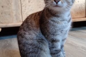 one oriley oxbow IMG_0013 one oriley oxbow IMG_0013